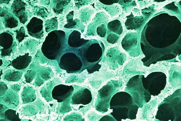 中国科学家再获多项成果