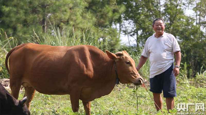 江西德安:你笑起来真好看