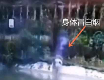 600万粉丝的网红主播离世!死亡原因曝光,不得不说:很可惜