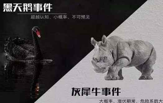 灰犀牛事件是指什么 典型的灰犀牛事件有哪些