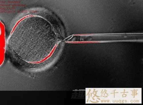 科学发现