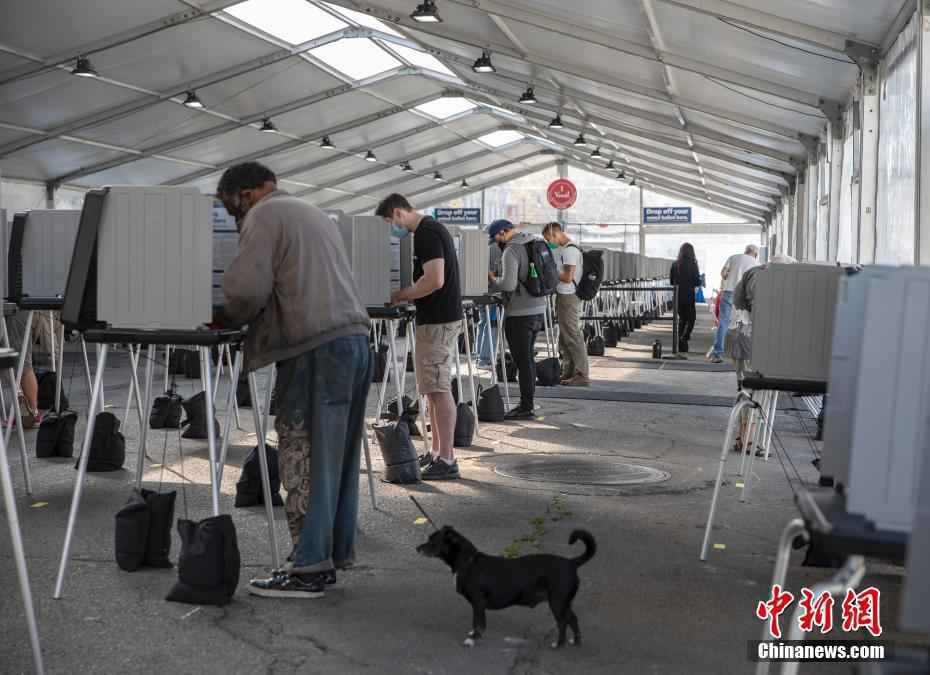 2020年美国大选：旧金山市政厅投票中心在户外开放
