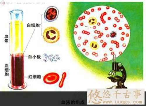 研究人造血势在必行