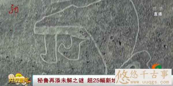 秘鲁再添未解之谜 这25幅神秘地画代表什么?