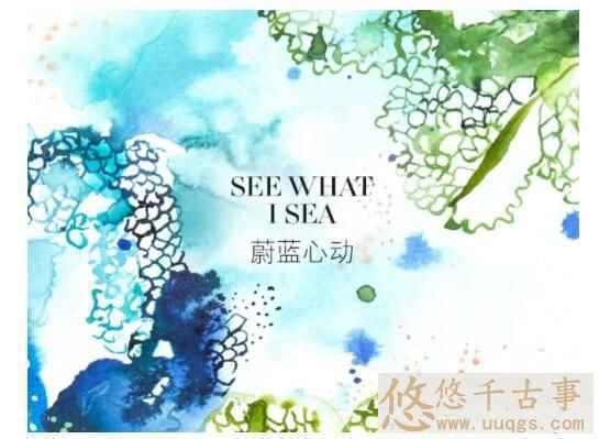 海洋保护“从心出发”，海蓝之谜海岸保护行动进行中