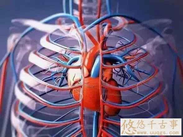 人类七大未解之谜：人为什么会死？
