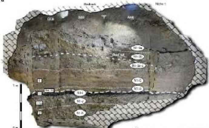 一处洞穴遗迹提供新证据 现代人类4.5万年前进入欧洲