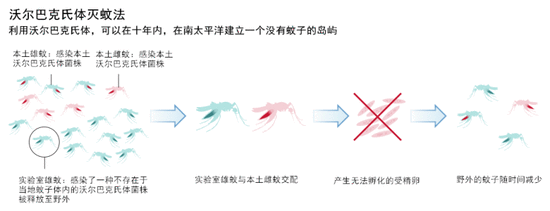 科学家想出了新招数灭蚊子