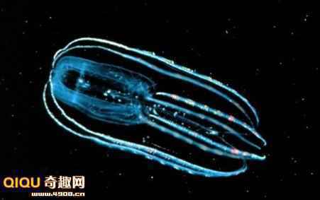 火星地下1.6公里发现不可思议的微生物_故事吧