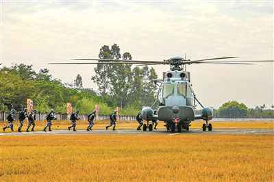 海军陆战队某旅组织空地协同演练