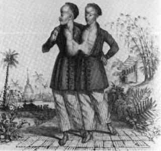 18岁时双胞胎兄弟-故事吧 18岁时双胞胎兄弟-故事吧