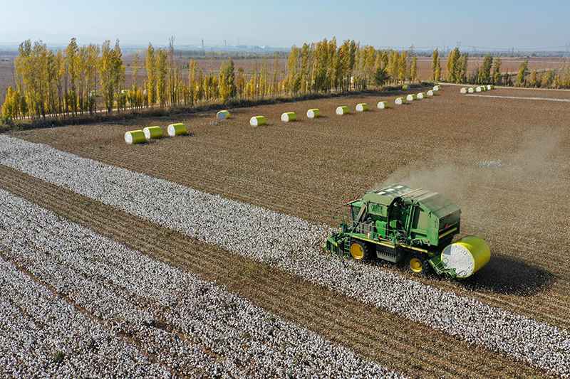  西北边陲焕发开放活力——写在2021线上亚欧商博会开幕之际