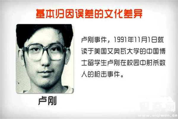 卢刚事件根本原因是什么