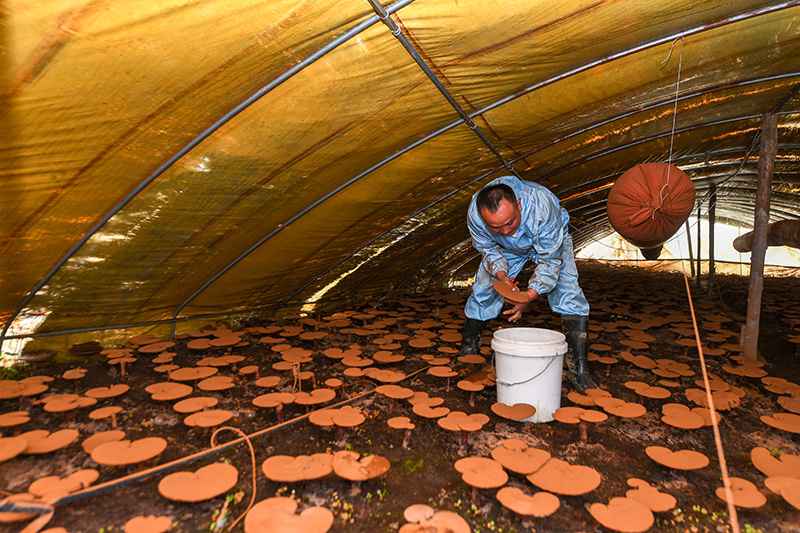 在祖国的怀抱里唱响生命之歌——残疾人事业发展的中国答卷