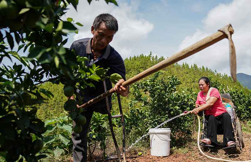 在祖国的怀抱里唱响生命之歌——残疾人事业发展的中国答卷