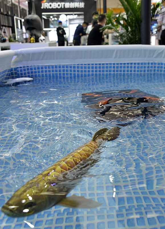 关键技术持续创新 多学科融合共赢——2021世界机器人大会透视产业发展新趋势