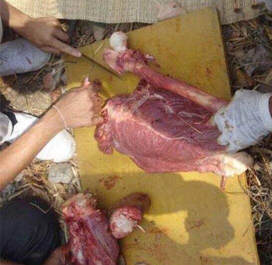 泰国食人宴